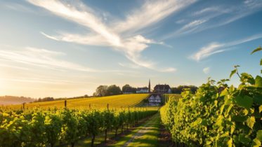 Hannover - Dating - Romantik