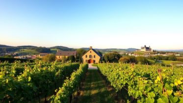 Wo wird in Niedersachsen Wein angebaut?