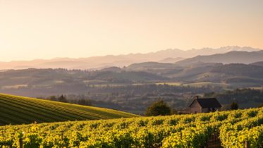 bekannt Weingüter mit Beschreibung
